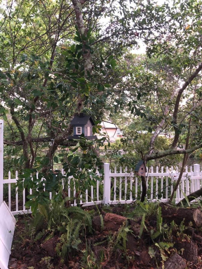 Cozy Cottage River House Weeki Wachee Buitenkant foto
