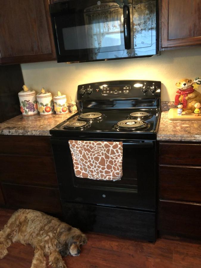Cozy Cottage River House Weeki Wachee Buitenkant foto